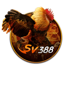 da ga sv388