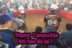 da ga thomo