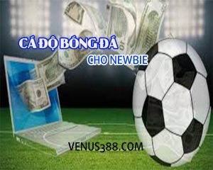 cá-độ-bóng-đá-newbie