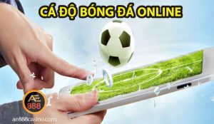 cá độ bóng đá ae888
