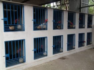 Lựa chọn kích thước