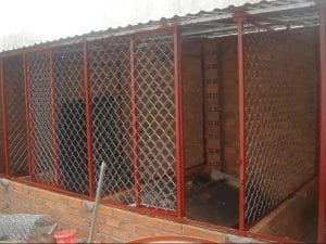 Lưới mắt cáo B40