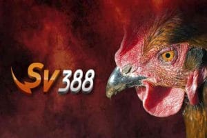Đăng ký đá gà sv388 và cách đăng nhập tài khoản